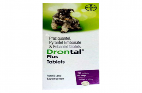 Drontal Plus For Dogs!